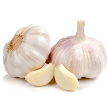 Export Packed in 10kgs in Carton Mesh bag Fresh Normal White Garlic